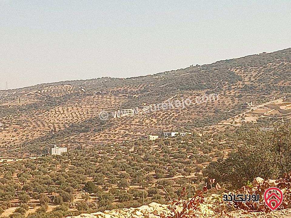 أرض مساحة 936م مميزة للبيع في السلط الصبيحي بيوضة تصلح سكن أو مزرعة أو شاليه خاص 