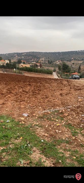ارض مميزة مساحة 717م للبيع في السلط الصبيحي منطقة عليقون
