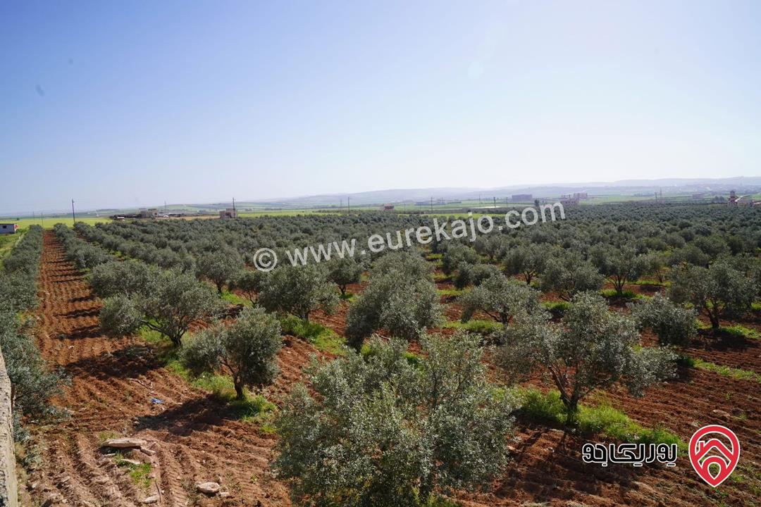 ارض مساحة 28 دونم للبيع في اربد - الصريح