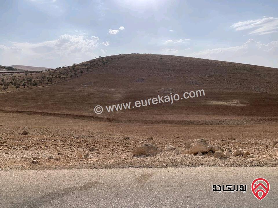 ارض مساحة 12 دونم للبيع في جرش - منطقة قفقفا 