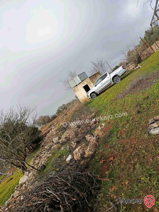 قطعة أرض مساحة 2 دونم للبيع في عجلون