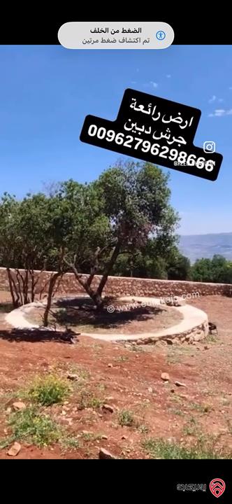 قطعة ارض مميزة مساحة 1 دونم للبيع في جرش - دبين
