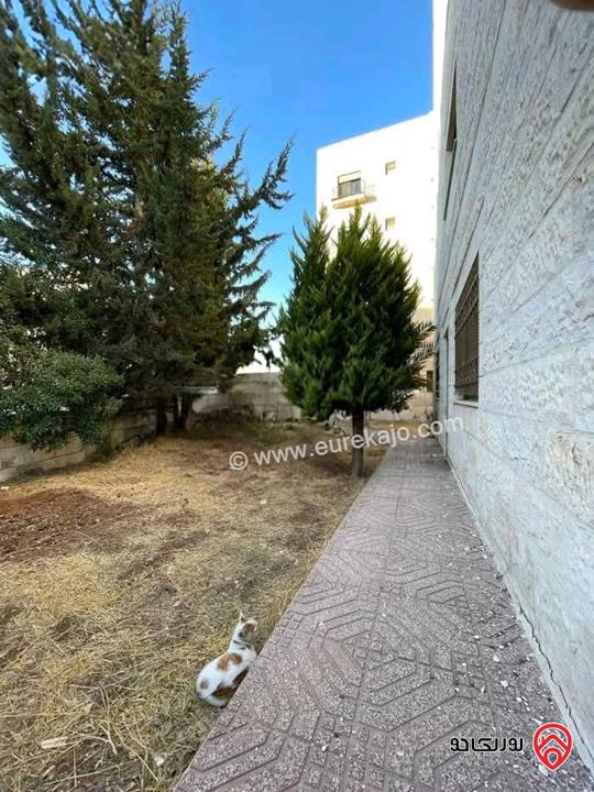 شقة فارغة مساحة 185م داخلي و 80م خارجي للايجار في عمان - أم السماق