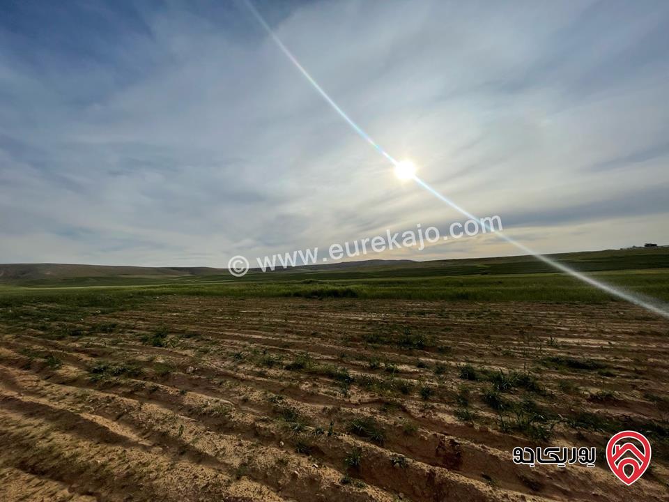 أرض مساحة 21 دونم و 400م للبيع من أراضي شرق عمان - الماضونة قرب جمرك عمان الجديد 
