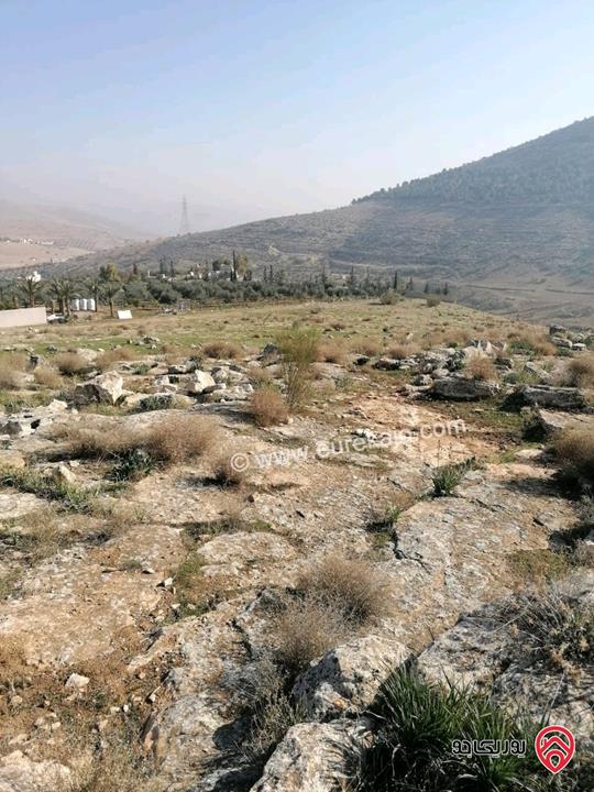 ارض مساحة 1 دونم و 263م اطلالة بانوراما للبيع في الزرقاء - بيرين