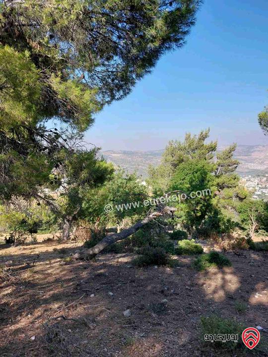 قطعة ارض مساحة 4084م للبيع في جبال جرش - سوف
