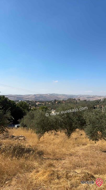 ارض مساحة 953م للبيع في عمان - بدر الجديدة