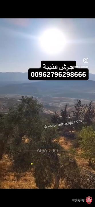 قطعة ارض استثمارية مساحة 3 دونم و 400م للبيع في جرش عنيبة