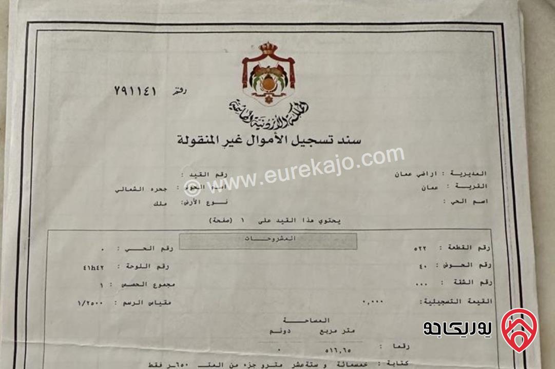 قطعتين أرض مساحتهم 1 دونم و 31م للبيع في عمان - الذراع الغربي 