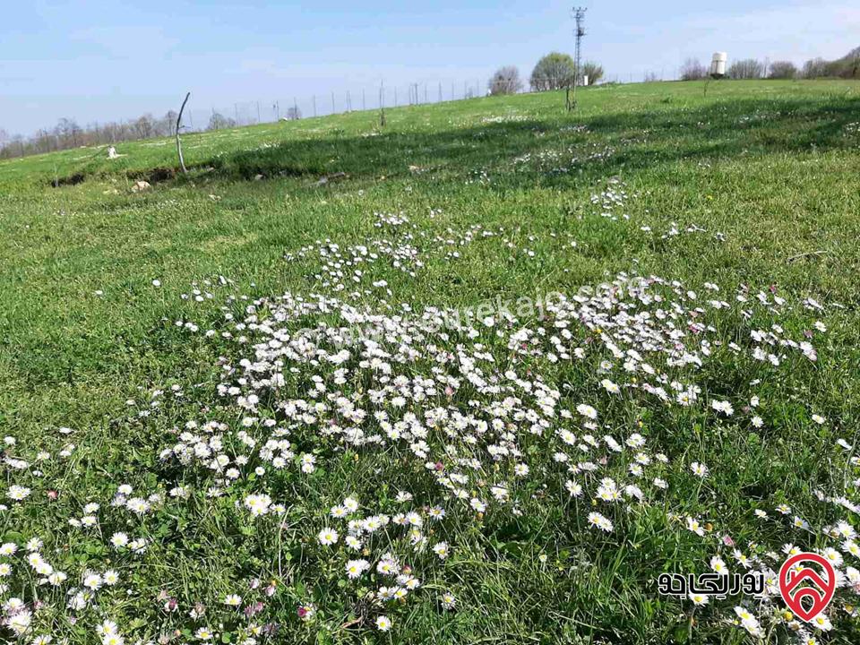 ارض مساحة 518م للبيع من أراضي جنوب عمان - القويسمة