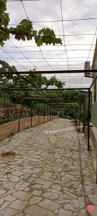 مزرعة زيتون مساحة الأرض 8 دونم و 300م و البناء مساحة 100م للبيع في السلط