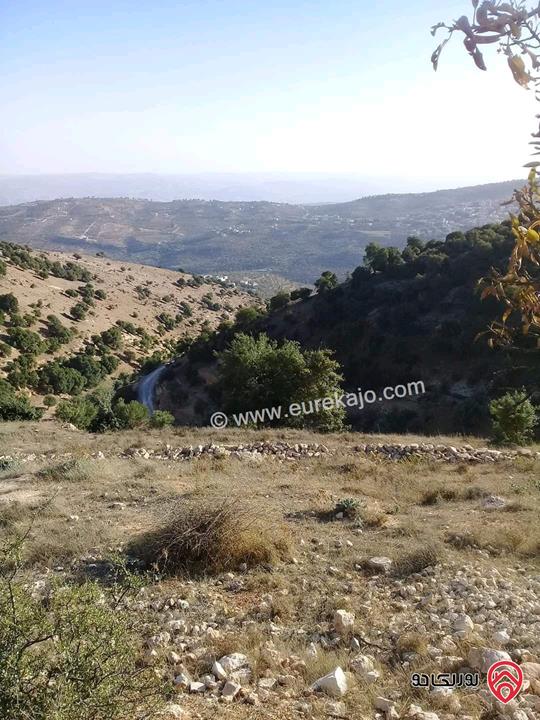 قطعة ارض مساحة 26 دونم للبيع في جرش - سوف