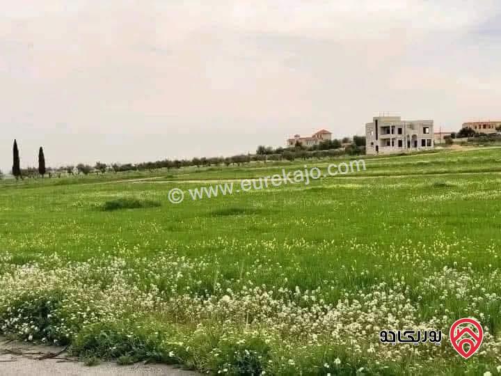 قطعة أرض مساحة 10 دونم للبيع في عمان - أم رمانة