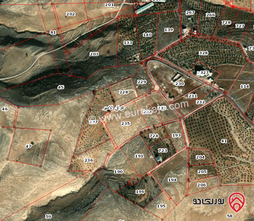 قطعة أرض مساحة 4 دونم للبيع في عمان - عراق الامير بسعر معقول