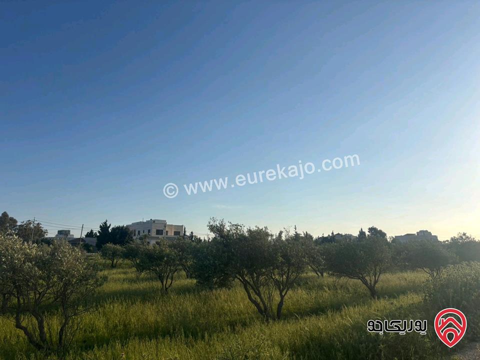 قطعة أرض مساحة 812م للبيع في مادبا - الخطابية 