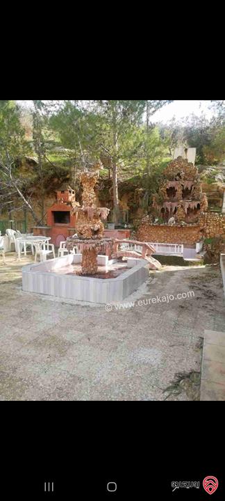 مزرعة مساحة 10 دونم للبيع في جرش - الكفير طريق جرش