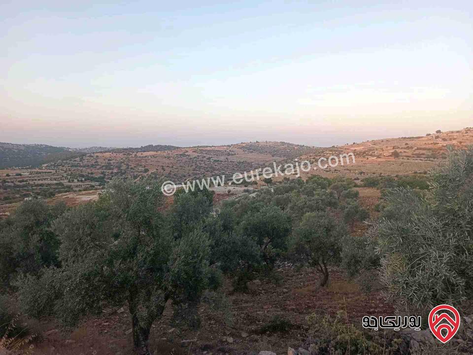 قطعة ارض مساحة 3 دونم و 400م للبيع في جرش سوف الظهره