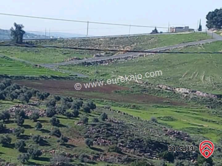 فيلا طابقين مساحة 400م على أرض 760م + بركة سباحة للبيع في عمان - مرج الحمام البحاث