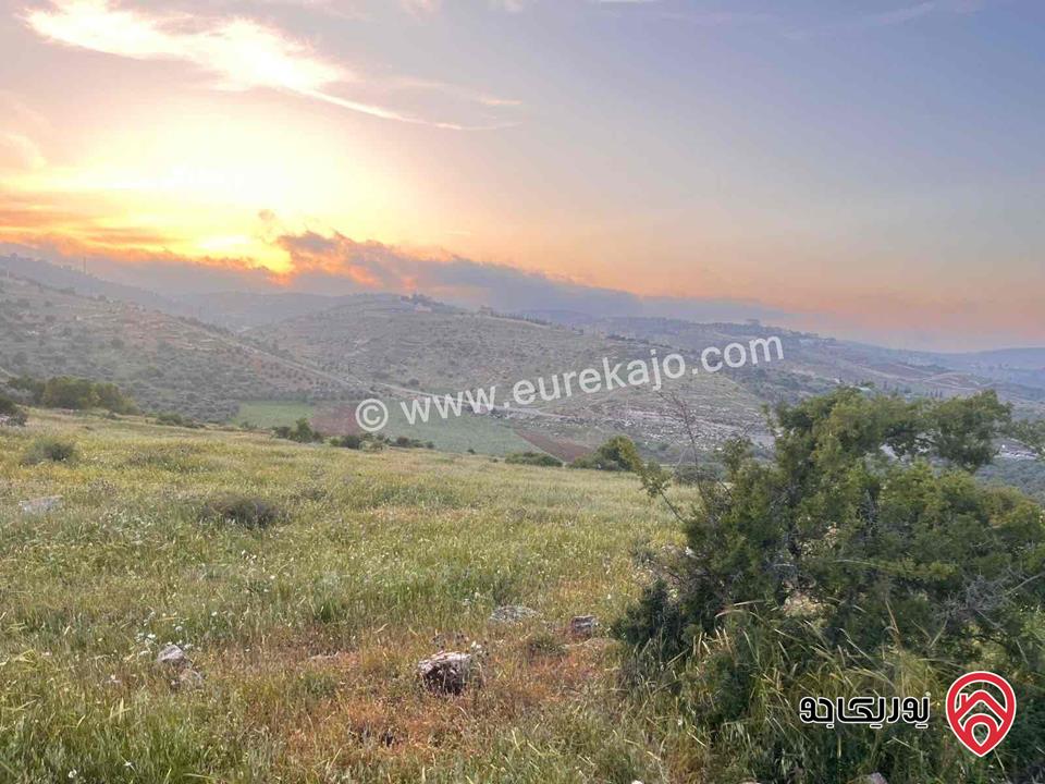 قطعة أرض مساحة 4134م للبيع بسعر مغري جدا في اربد - النعيمة 