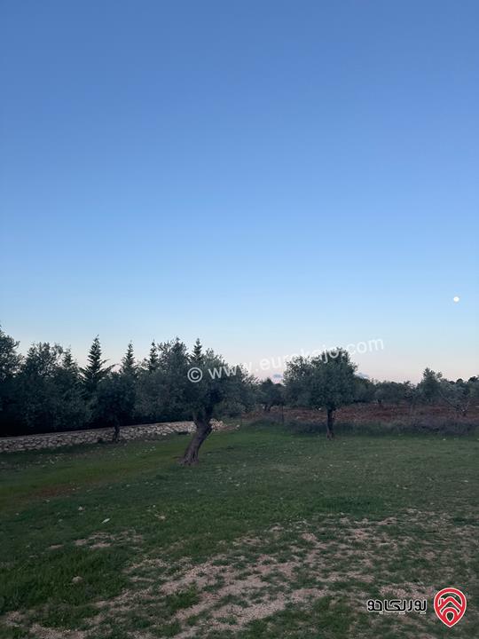 قطعة ارض مساحة 1 دونم و 720م للبيع في السلط زي منطقة مزارع وفلل مزروعة زيتون 