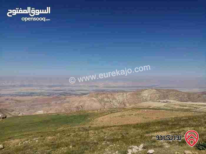 قطعة أرض مساحة 2 دونم للبيع في البلقاء - السلط ام زيتونة اطلالة غربية ع جبال فلسطين 