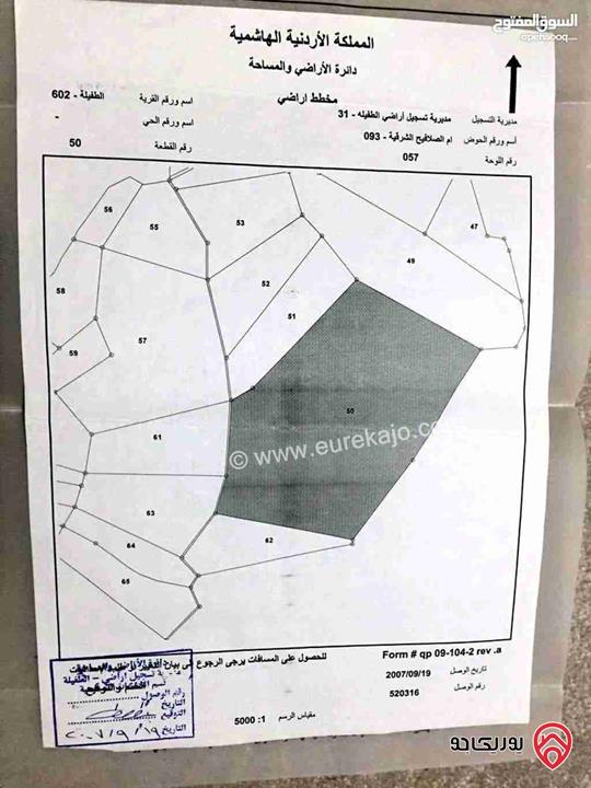 قطعة أرض مساحة 169 دونم للبيع في الطفيلة من المالك مباشرة