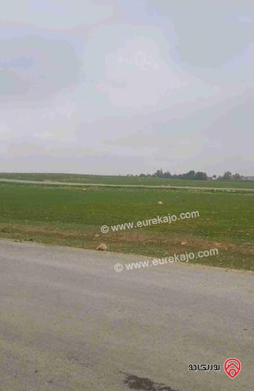 قطعة أرض مساحة 474م للبيع من أراضي جنوب عمان - نتل