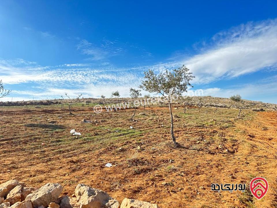 قطعة ارض مساحة 9 دونم للبيع في منطقة مادبا - لب