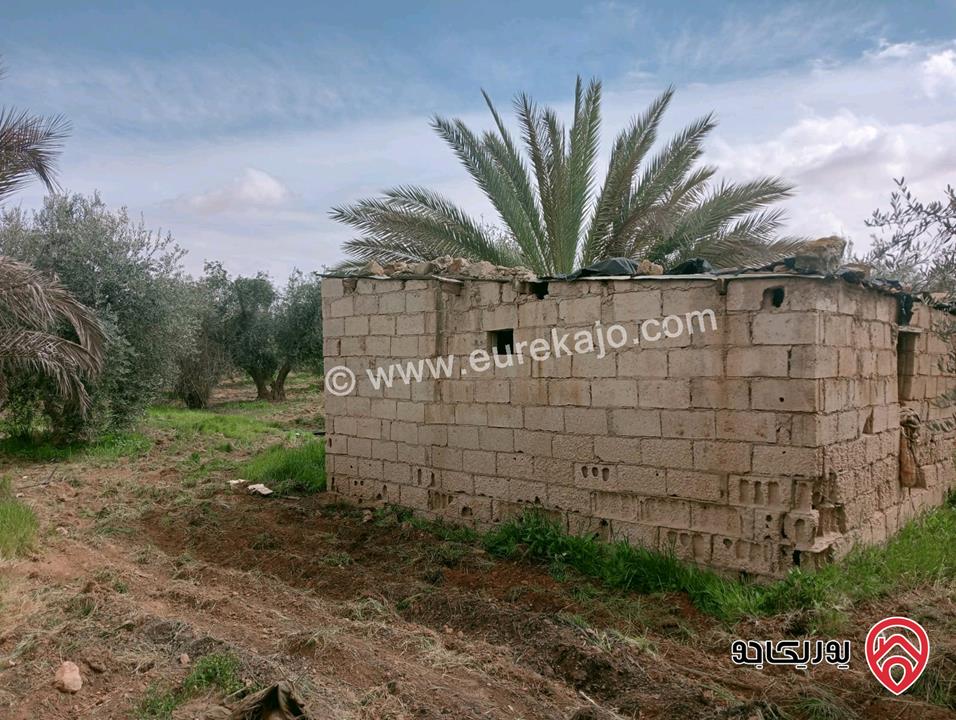 مزرعة مساحة 500 دونم للبيع في عمان - الجيزة