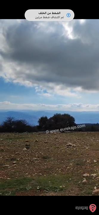 قطعة أرض مساحة 1 دونم للبيع في جرش دبين منطقة سياحية خلابة