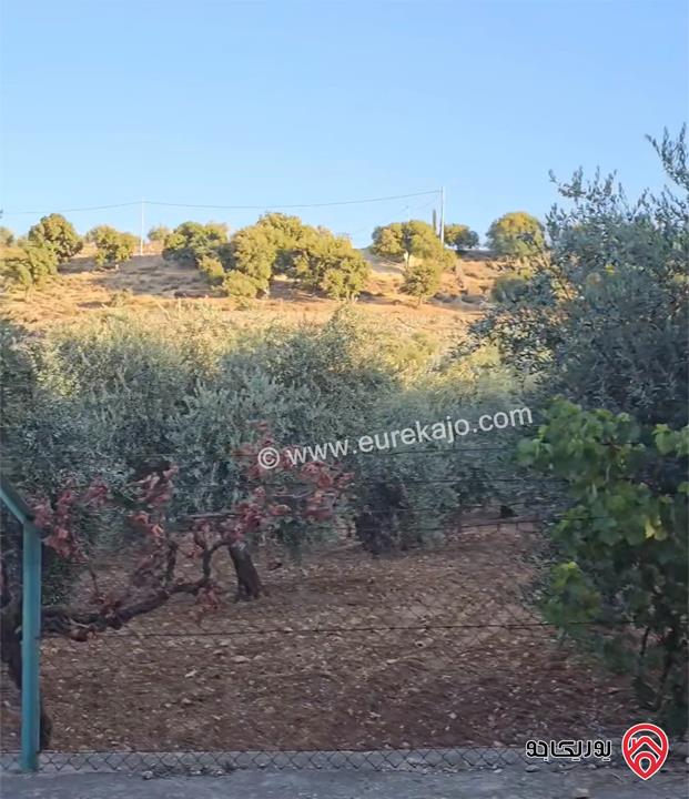 قطعة أرض مميزة جدا مساحة 5 دونم للبيع في السلط جلعاد 