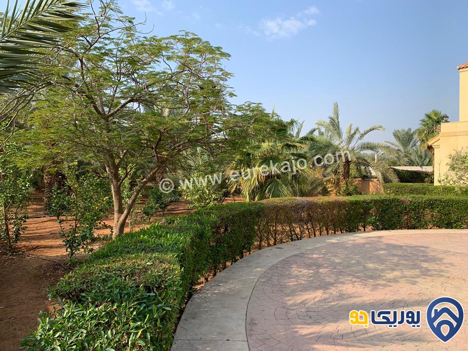  palms farm مزرعة مميزة للإيجار في البحر الميت 