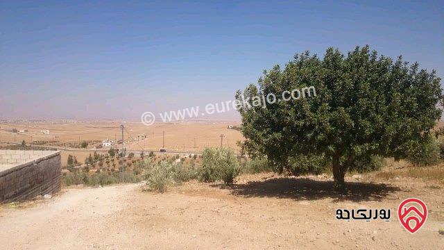 مزرعة مساحة الأرض 12 دونم و 500م مع فيلا 500م للبيع في المفرق - حيان المشرف