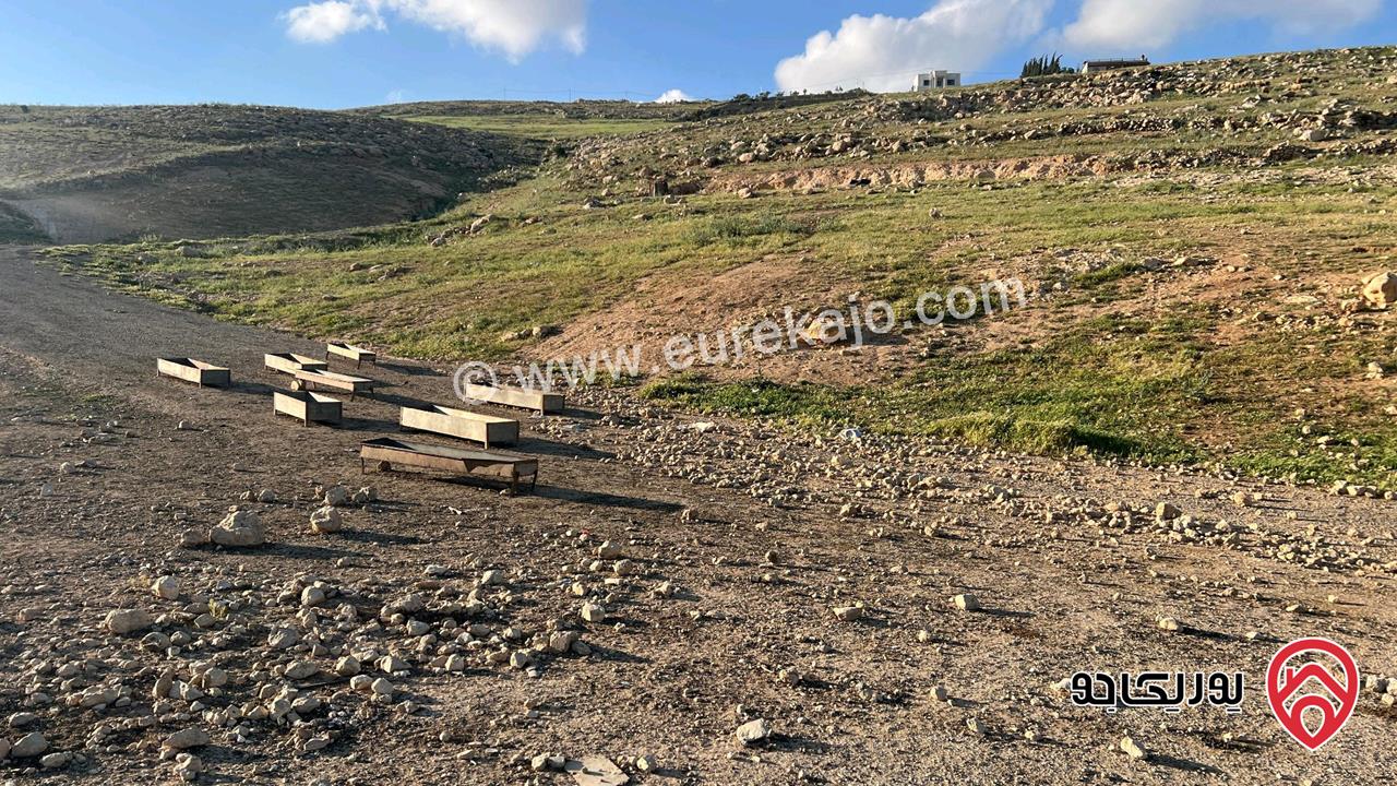 أرض مساحة 500م للبيع في عمان - شفا بدران حوض ام شطيرات 