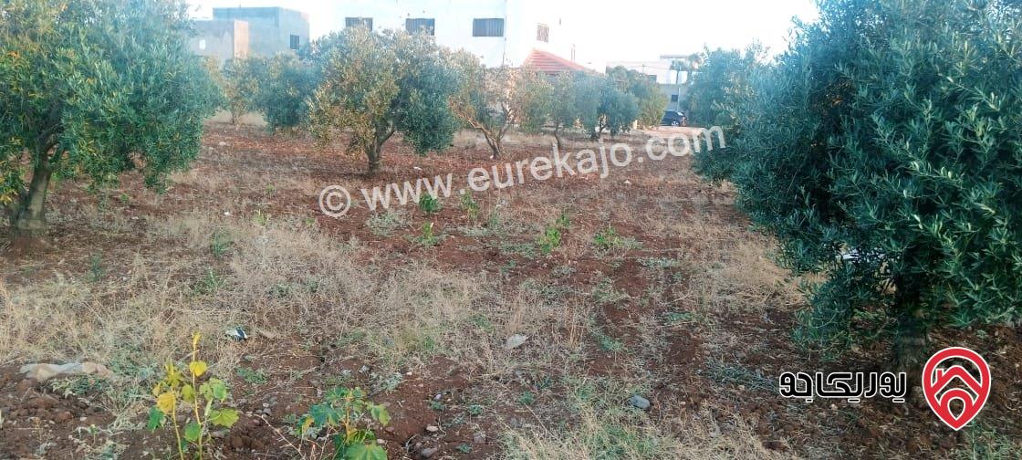 قطعة أرض مساحة 2 دونم للبيع في اربد - الرمثا - الطرة