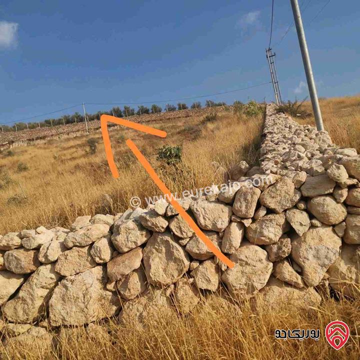 ارض استثمارية على 3 شوارع مساحة 3860م للبيع في جرش - عنيبة تصلح لعمل مزرعة أو شاليه
