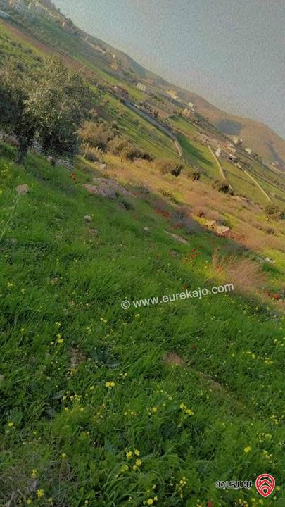 قطعة أرض مساحة 5 دونم للبيع في  اجمل مناطق الزرقاء - صروت