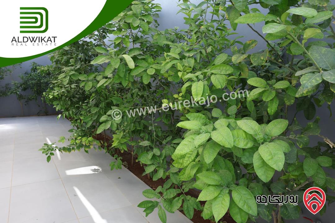 شاليه فاخر للبيع في اجمل مواقع البحر الميت منتجع البحيرة مساحة الارض 650م والبناء 195م