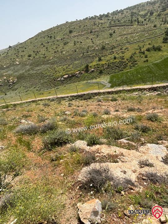 مزرعة مساحة الأرض 3 دونمات و 840م² للبيع في جرش