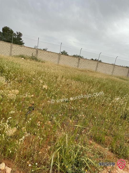قطعة أرض مميزة مساحة 5 دونم للبيع في عمان - ناعور المشقر