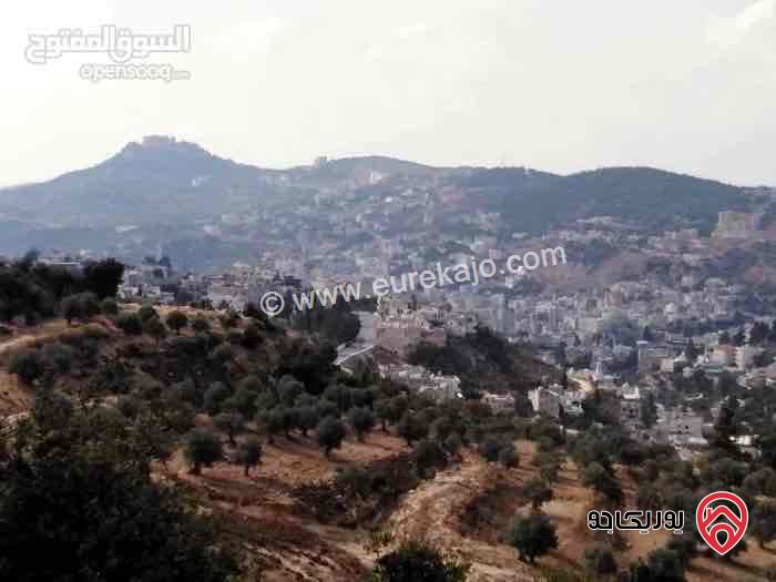 أرض للبيع في عجلون - عين جنا بإطلالة مباشرة على قلعة عجلون مساحة 2197م