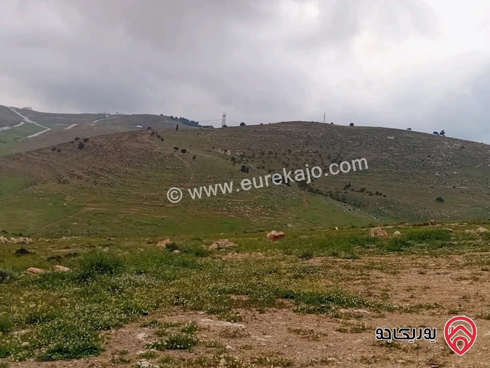 أرض مساحة 3 دونم و 600م للبيع في الزرقاء - بيرين
