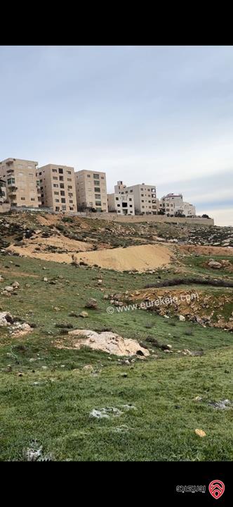 قطعة ارض مميزة مساحة 529م للبيع في عمان - الجبيهة شارع الاردن 