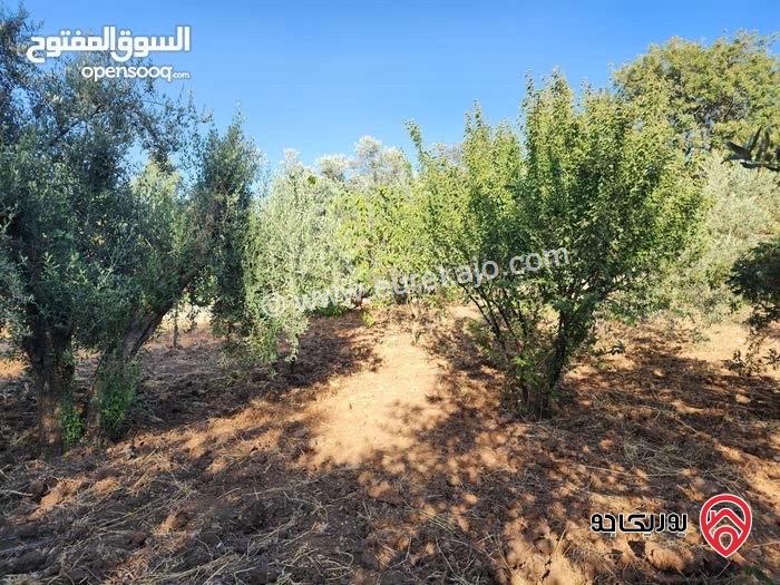 مزرعة مساحة الأرض 2 دونم و 491م للبيع بمنطقة  السلط - زيّ 