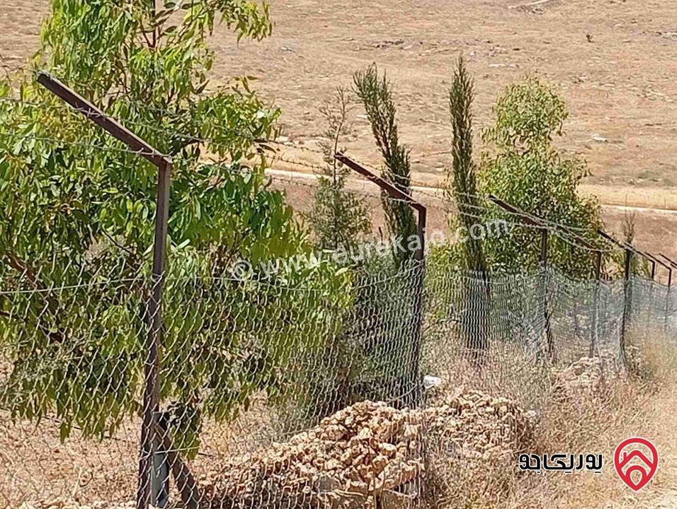 مزرعة مساحة الأرض 3 دونم و 400م بإطلالة للبيع في المفرق - بلعما