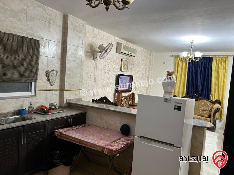 مزرعة وشاليه للايجار اليومي في الرصيفة مقابل القرية العالمية للحيوان