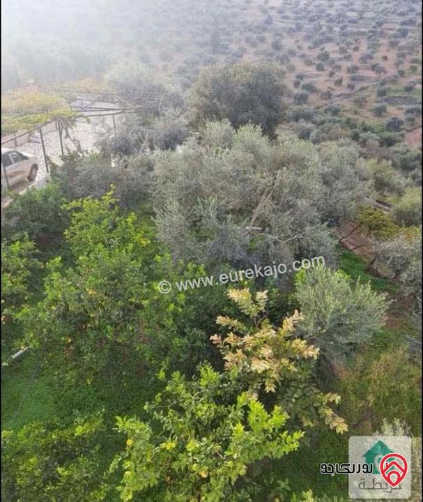 مزرعة زيتون مساحة الأرض 8 دونم و 588م و البناء مساحة 100م للبيع في السلط