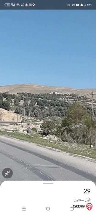 مزرعة مساحة الأرض 4 دونم و البناء 120م للبيع في المفرق  - القنية