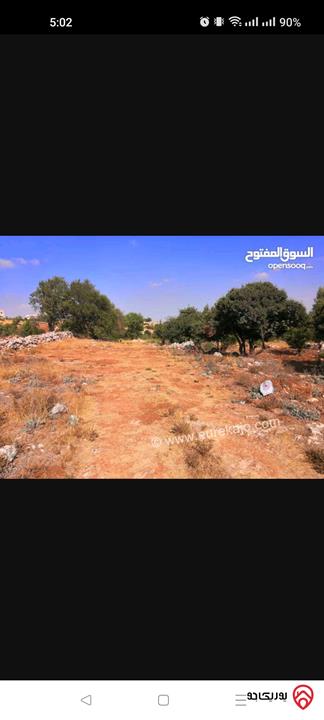 مزرعة / ارض استثمارية مساحة 9716م للبيع في عجلون - عبين وعبلين
