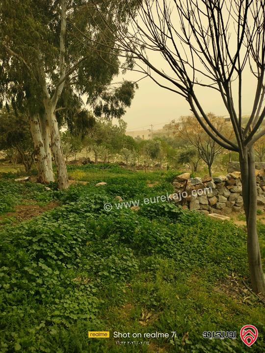 بيت مساحة 140م على أرض 1026م للبيع في المفرق - سما السرحان